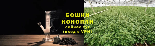 прущие крисы Верея