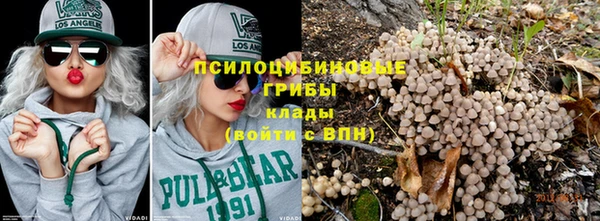 прущие крисы Верея