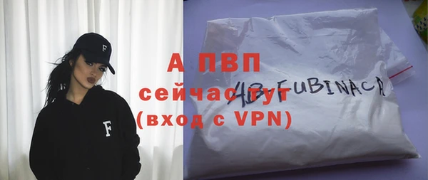 прущие крисы Верея