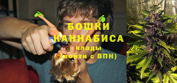 прущие крисы Верея