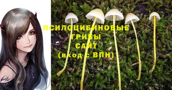 стаф Верхнеуральск