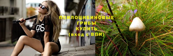 прущие крисы Верея