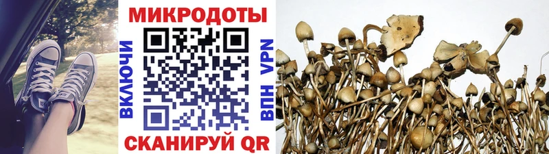 Галлюциногенные грибы мухоморы  Купить закладки  Верея 