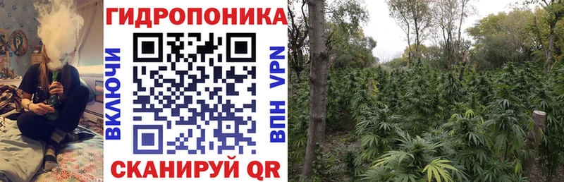 Купить закладки  Верея  МАРИХУАНА THC 21% 